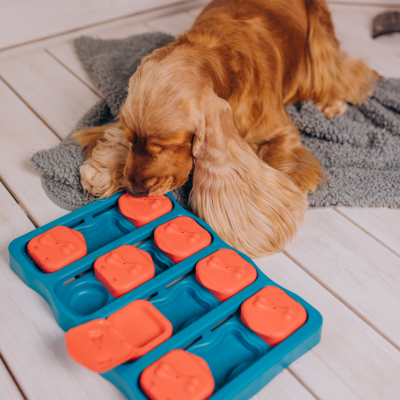 SLOW-FEEDER DOG BOWLS