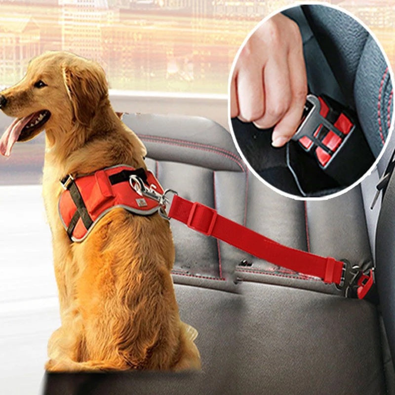 SafePaws Seat Belt