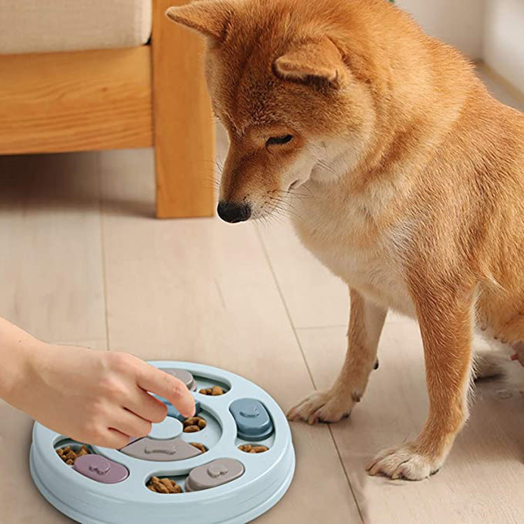 Household Pets Dog Puzzle Feeding Bowls