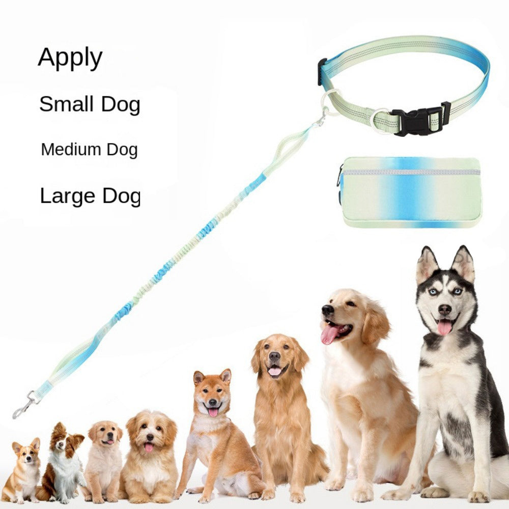TrailTrek Dog Leash